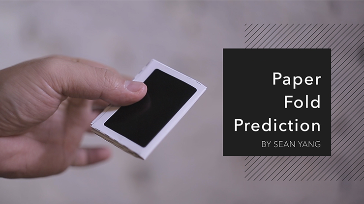 Paper Fold Prediction by Sean Yang - Image 2