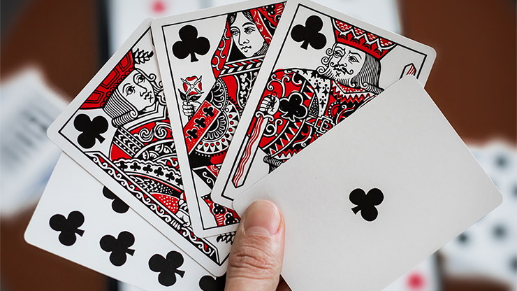 Hidden Leaves Playing Cards - Image 5