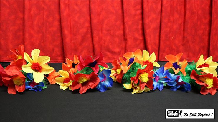 Production Hank with Four Bouquets by Mr. Magic - Image 2