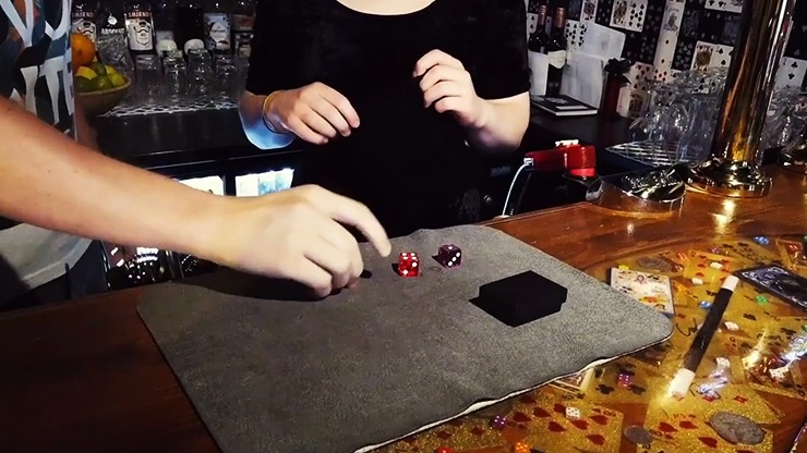 Die-Abolical V5, Gimmicks and Online Instructions by Steve Cook - Image 3