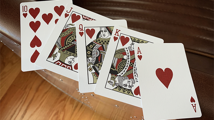 Premier Edition in Jetsetter Green by Jetsetter Playing Cards - Image 5