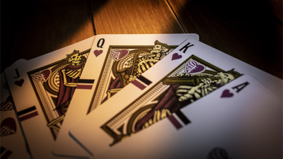 Skelstrument Playing Cards Printed by US Card Magic - Image 5