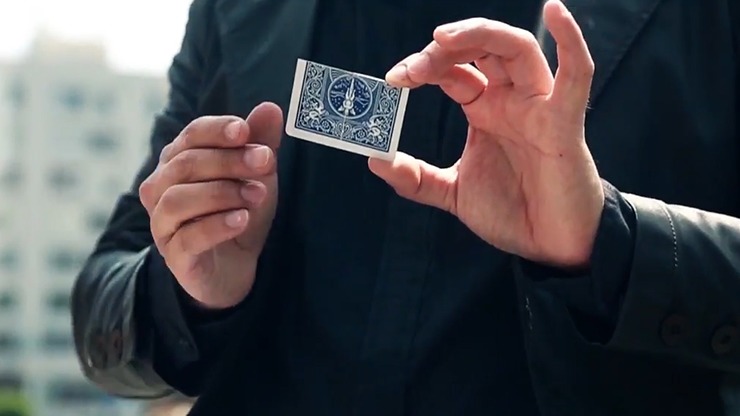 Together 2.0, Red by Snake - Image 4