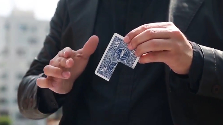 Together 2.0, Red by Snake - Image 5