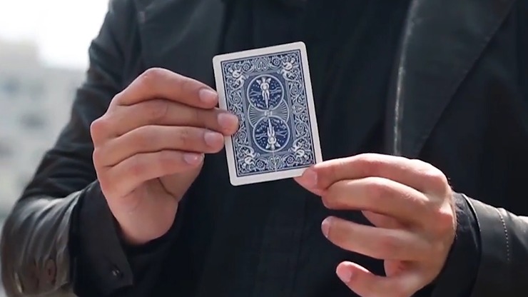 Together 2.0, Red by Snake - Image 6