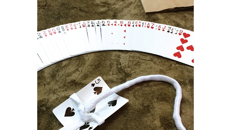 Miracle Fishing 2020 by Tenyo Magic - Image 2