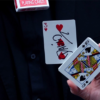 Abandoned RED, Gimmicks and Online Instructions by Dennis Reinsma & Peter Eggink - Image 5