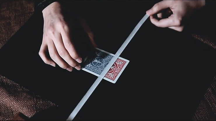 TRUE COLORS by Eric Chien & TCC - Image 6