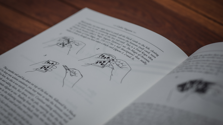 Illusioneer by Carlos Vaquera - Image 6