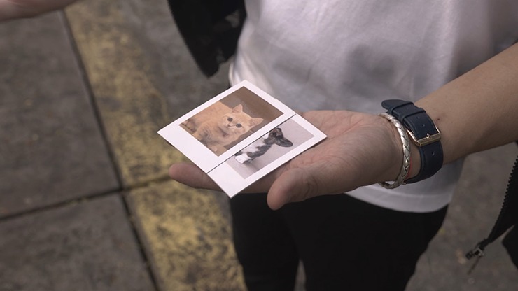 Skymember Presents: Project Polaroid Add-On Kit, Pet lover