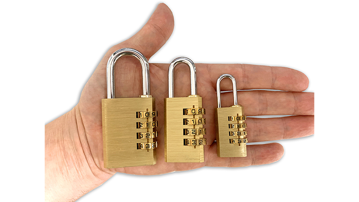 Dead Lock, Original Version Small by Michael Murray - Image 3