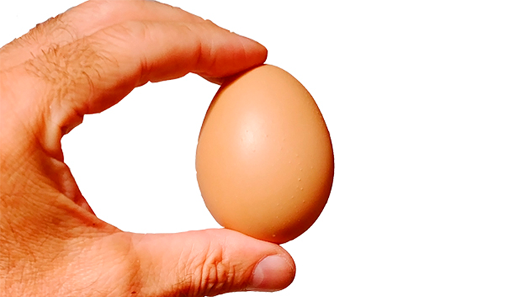 Russian Roulegg Brown by Quique Marduk - Image 2