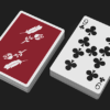 Remedies Playing Cards By Madison x Schneider - Image 5