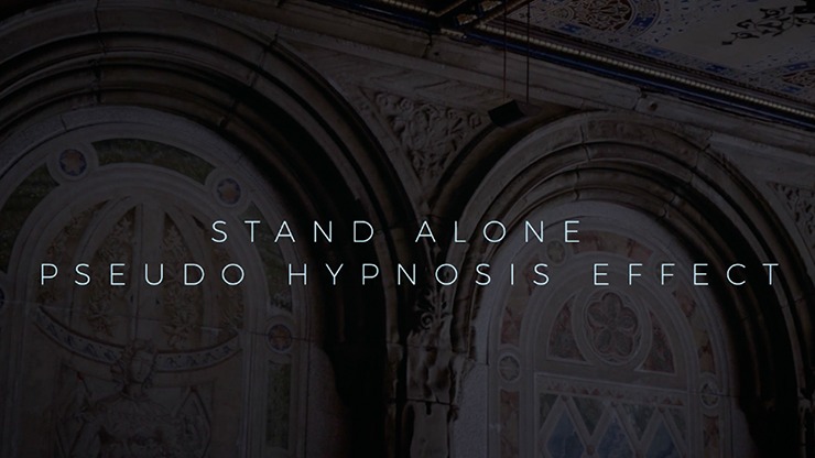 Untruth (with DVD and Gimmicks) by Rich Li - Image 5