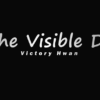 In the Visible Deck RED (Gimmicks and Online Instruction by Victory Hwan