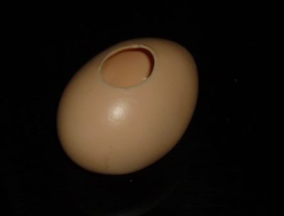 Super Latex Egg - Brown - Image 2