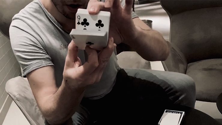 Houdinis Last Trick, Gimmicks and Online Instructions by Peter Eggink - Image 3