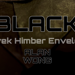 Tyvek Himber Envelopes BLACK, 10 pk. by Alan Wong