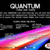 Quantum Coins, US Quarter Blue Card Gimmicks and Online Instructions by Greg Gleason and RPR Magic Innovations - Image 5