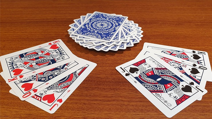 Resilience, Marked Blue Playing Cards - Image 5