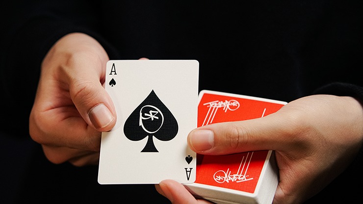 Tomato at the Edge Playing Cards - Image 3