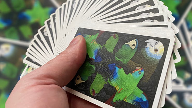 Parrot Prototype Playing Cards - Image 2