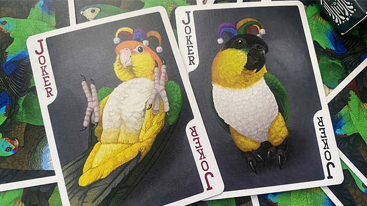 Parrot Prototype Playing Cards - Image 3