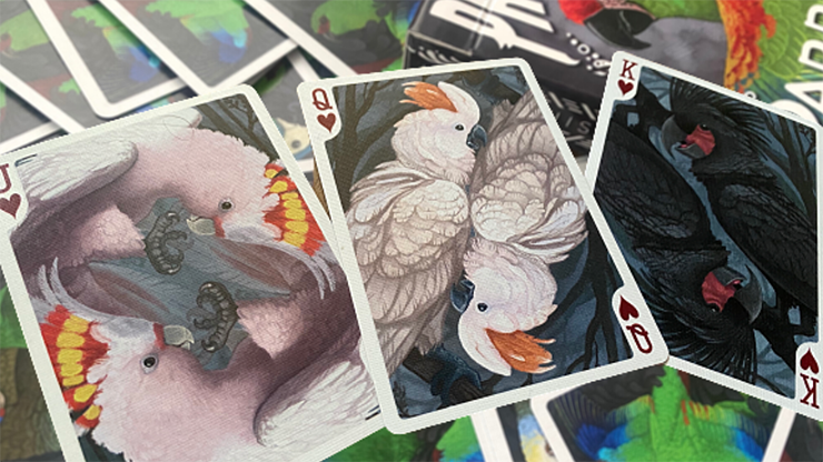 Parrot Prototype Playing Cards - Image 6