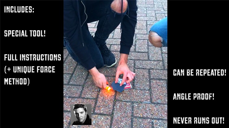 Celebrity Scorch, Arnold and Marilyn by Mathew Knight and Stephen Macrow - Image 5