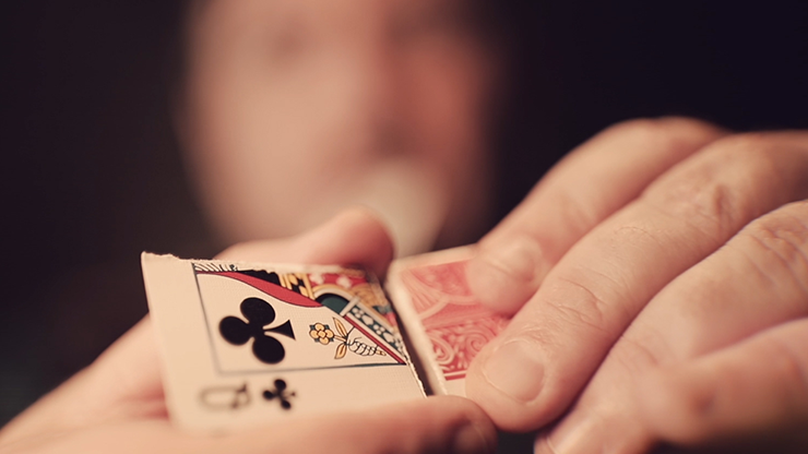 D4M by Matthew Wright - Image 4