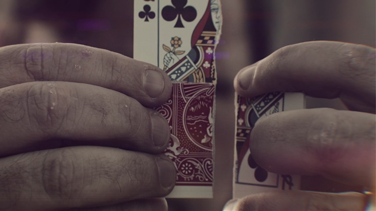 D4M by Matthew Wright - Image 5