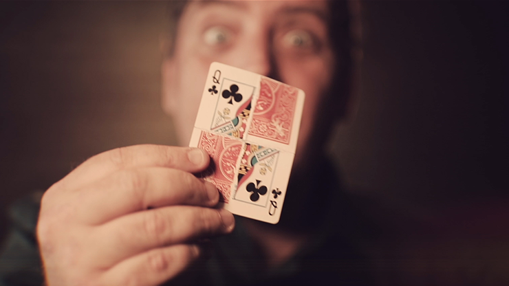 D4M by Matthew Wright - Image 6