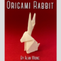 Origami Rabbit by Alan Wong 66739-full.png