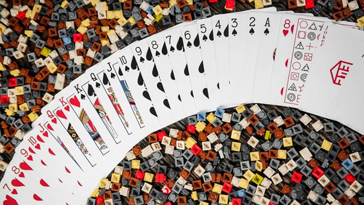 Curiosity Box by TCC - Image 3