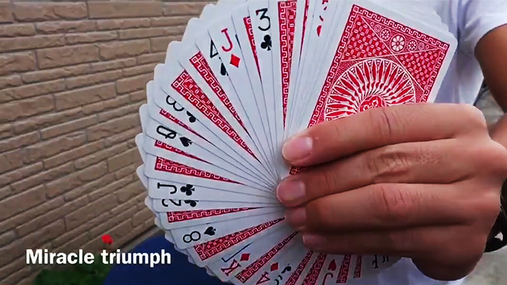 MIRACLE TRIUMPH by Syouma - Image 4