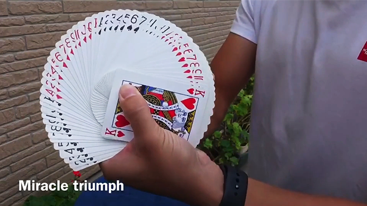 MIRACLE TRIUMPH by Syouma - Image 5