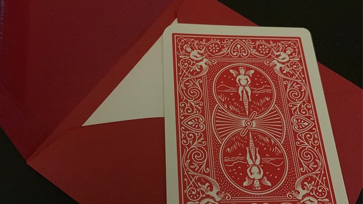 Mollify, Gimmicks and Online Instructions by Fraser Parker - Image 2