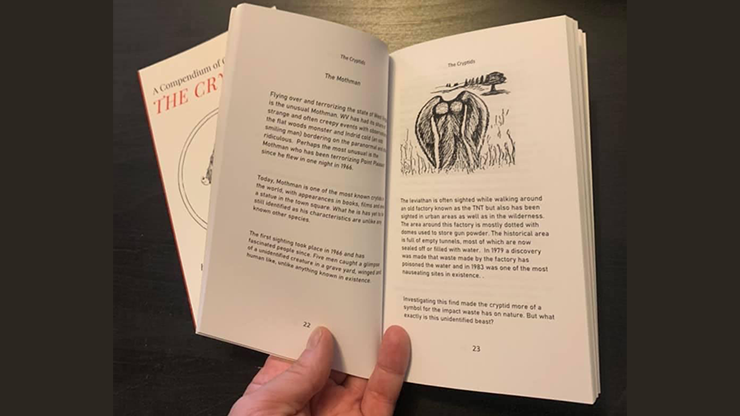 Mysterion presents: Cryptid by Mysterion - Image 3