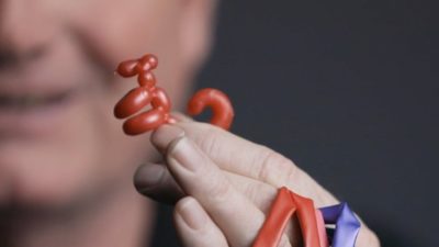 Animinimals, Gimmicks and Online Instructions by Billy Damon - Image 5