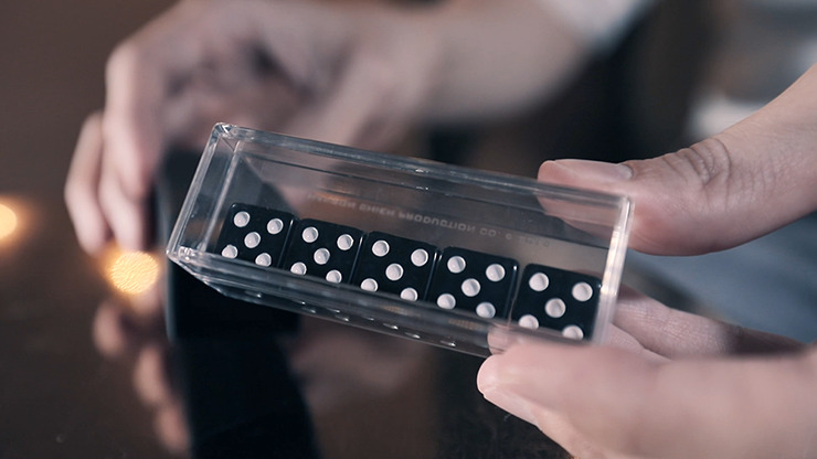 Sonic Dice, With Online Instructions by Hanson Chien - Image 5