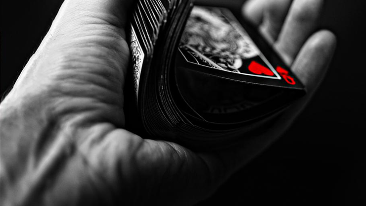 Bicycle Black Tiger Red Playing Cards - Image 6