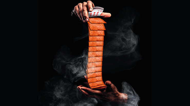 The Sandwich Series, Luncheon Meat Playing Cards - Image 2