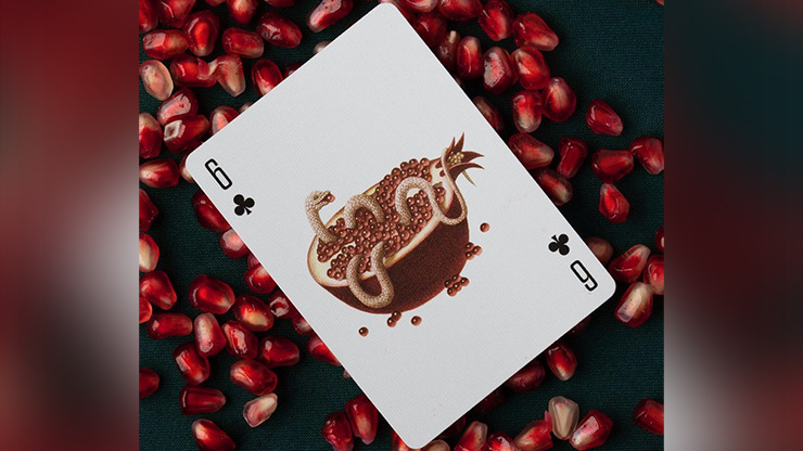 Cabinetarium Playing Cards by Art of Play - Image 2