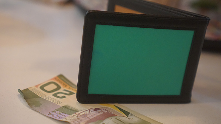 Chameleon Skin Wallet by Jim Steinmeyer - Image 5