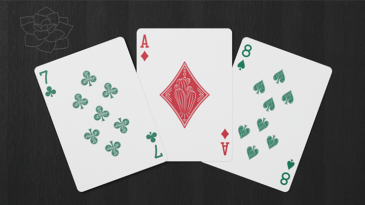 Succulents Playing Cards - Image 5