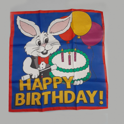 Happy Birthday Silk, 18 in by Ginn and Goshman