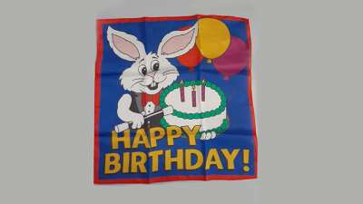 Happy Birthday Silk, 18 in by Ginn and Goshman