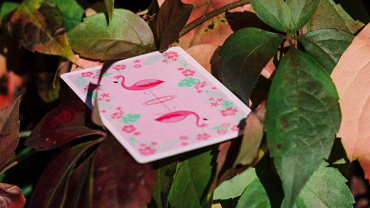 Wild Playing Cards - Image 2