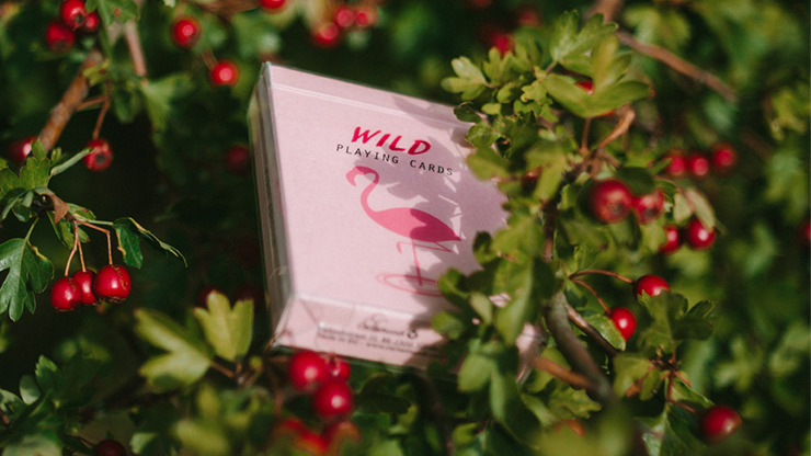 Wild Playing Cards - Image 6