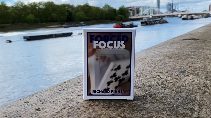 FORCED FOCUS BLUE by Richard Pinner - Image 2